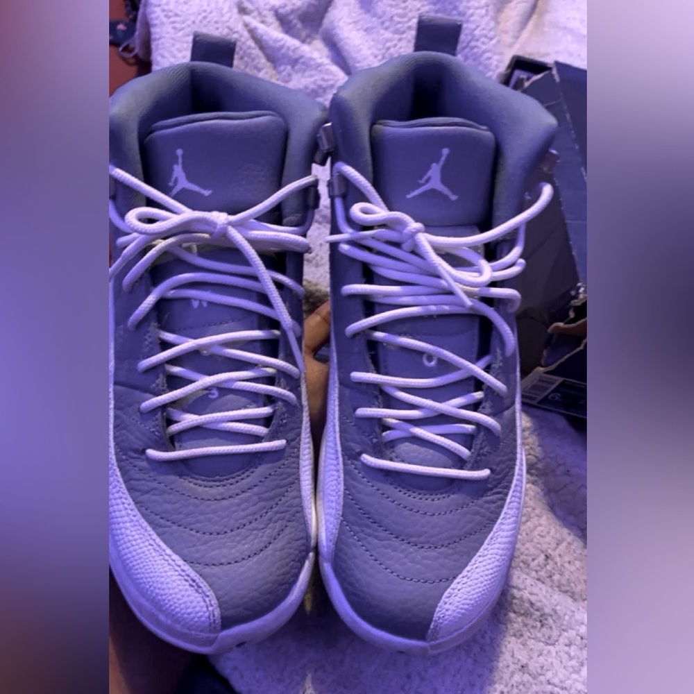 Jordan 12 Retro 'Stealth'